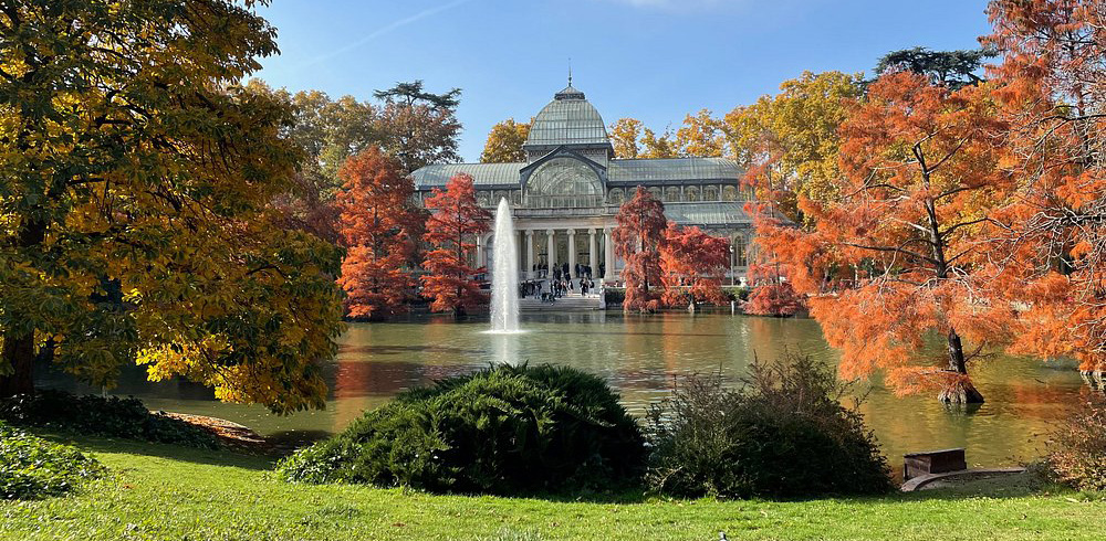Conectado con el currículum escolar