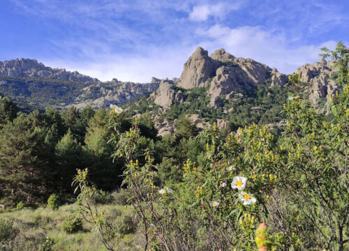 La Pedriza mountain near Madrid